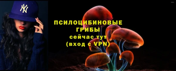 прущий лед Алексеевка