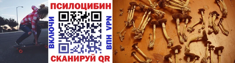 Псилоцибиновые грибы MAGIC MUSHROOMS  магазин продажи наркотиков  Снежногорск 
